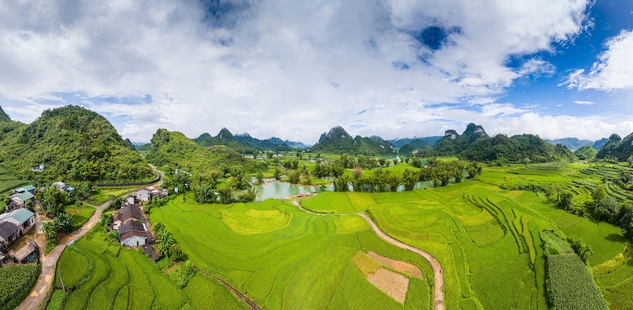 Aerial landscape in Quay Son river, Trung Khanh, Cao Bang, Vietnam with nature, green rice fields and rustic indigenous houses