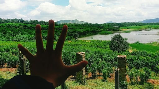 It's a beautiful place for you and your gang hangout, take a bunch of selfies.. it also has sell đà lạt milk and yogurt in it.