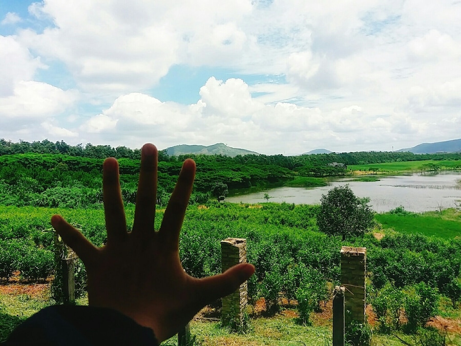 It's a beautiful place for you and your gang hangout, take a bunch of selfies.. it also has sell đà lạt milk and yogurt in it.