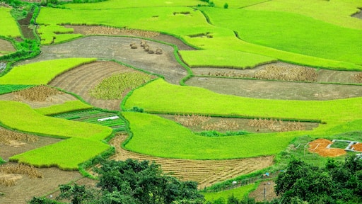 Road from Ha Giang to Dong Van. Karst plateau , Vietnam