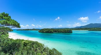 Tropical island beach and clear blue water, Kabira Bay, Ishigaki-jima, Okinawa, Japan