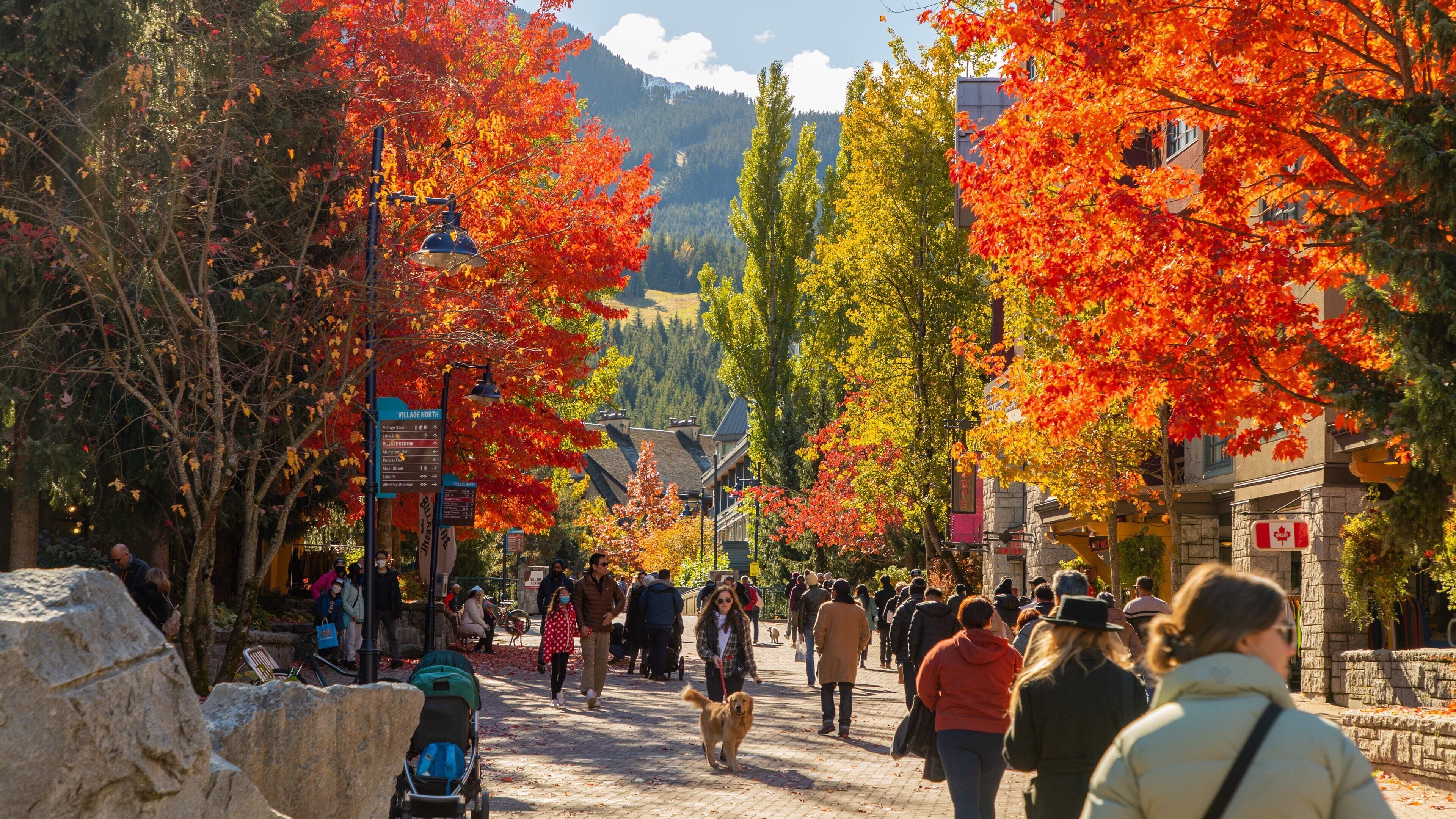Whistler Village Stroll featuring street scenes