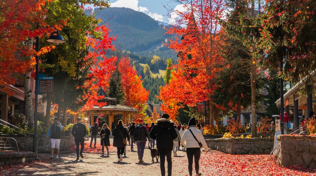 Whistler Village Stroll which includes fall colors and street scenes as well as a couple