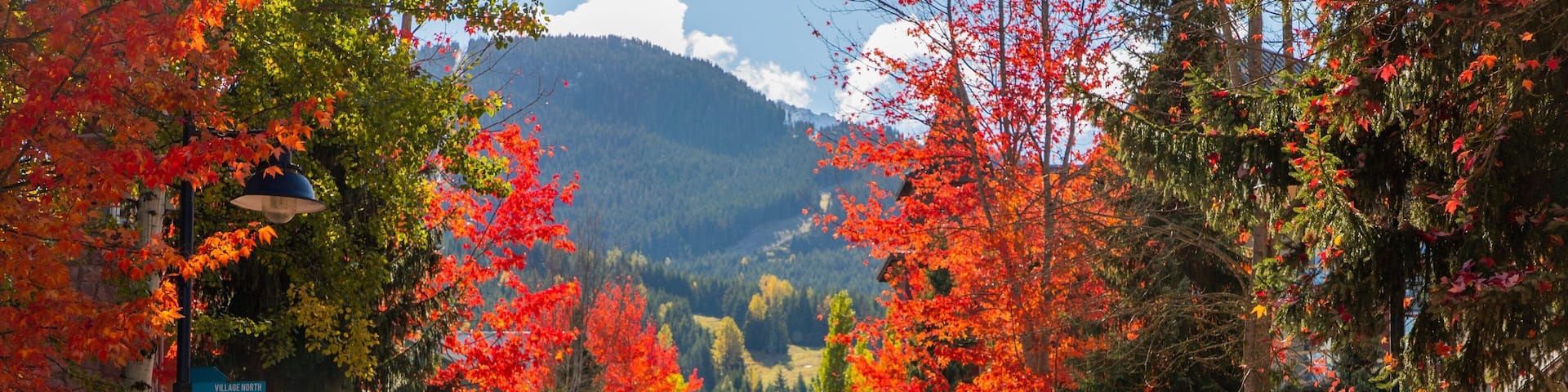 Whistler Village Stroll which includes fall colors and street scenes as well as a couple