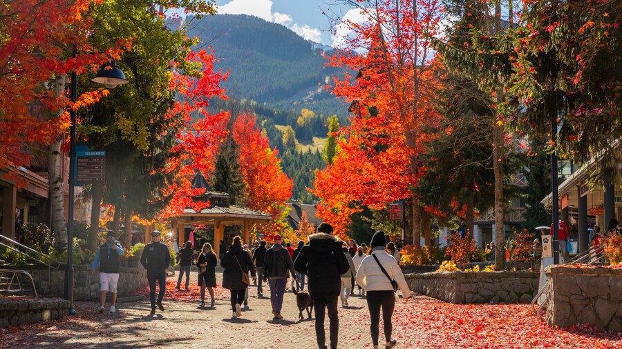Whistler Village Stroll which includes fall colors and street scenes as well as a couple