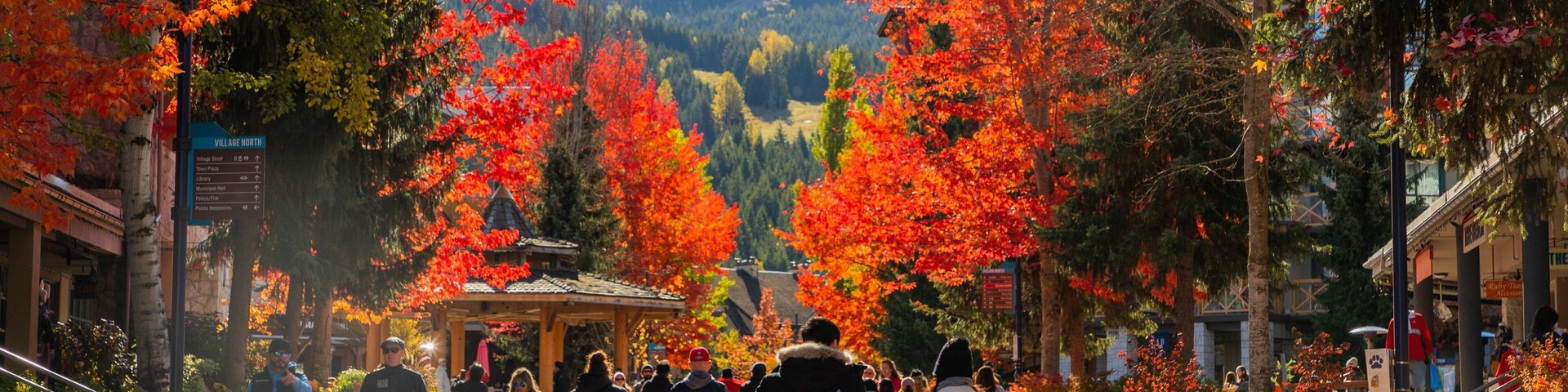 Whistler Village Stroll which includes fall colors and street scenes as well as a couple