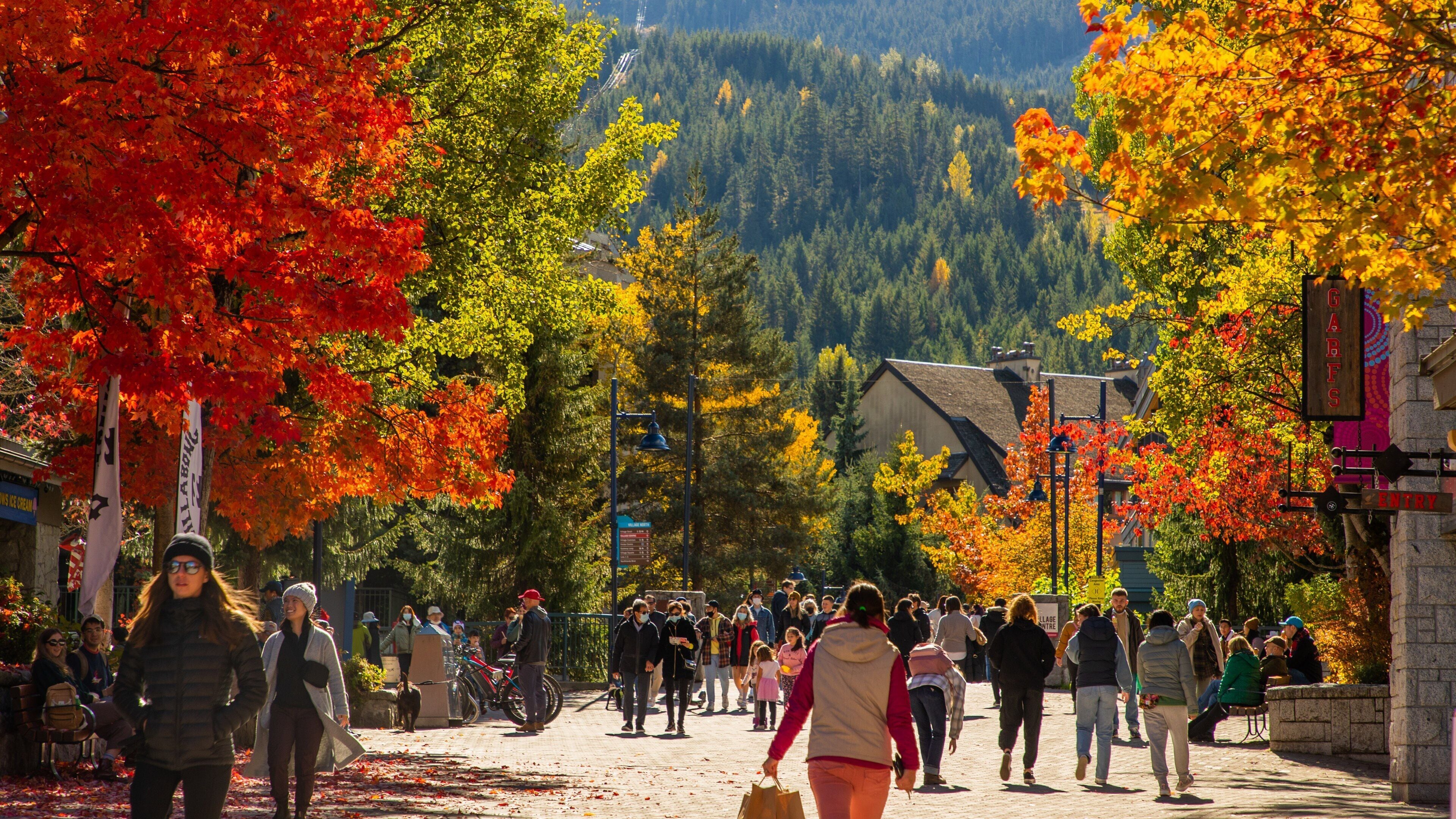 Whistler Village Stroll which includes street scenes