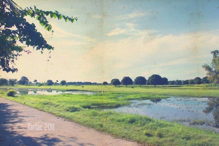 A rural landscape with a dirt path, green fields, a pond, and trees under a partly cloudy sky.