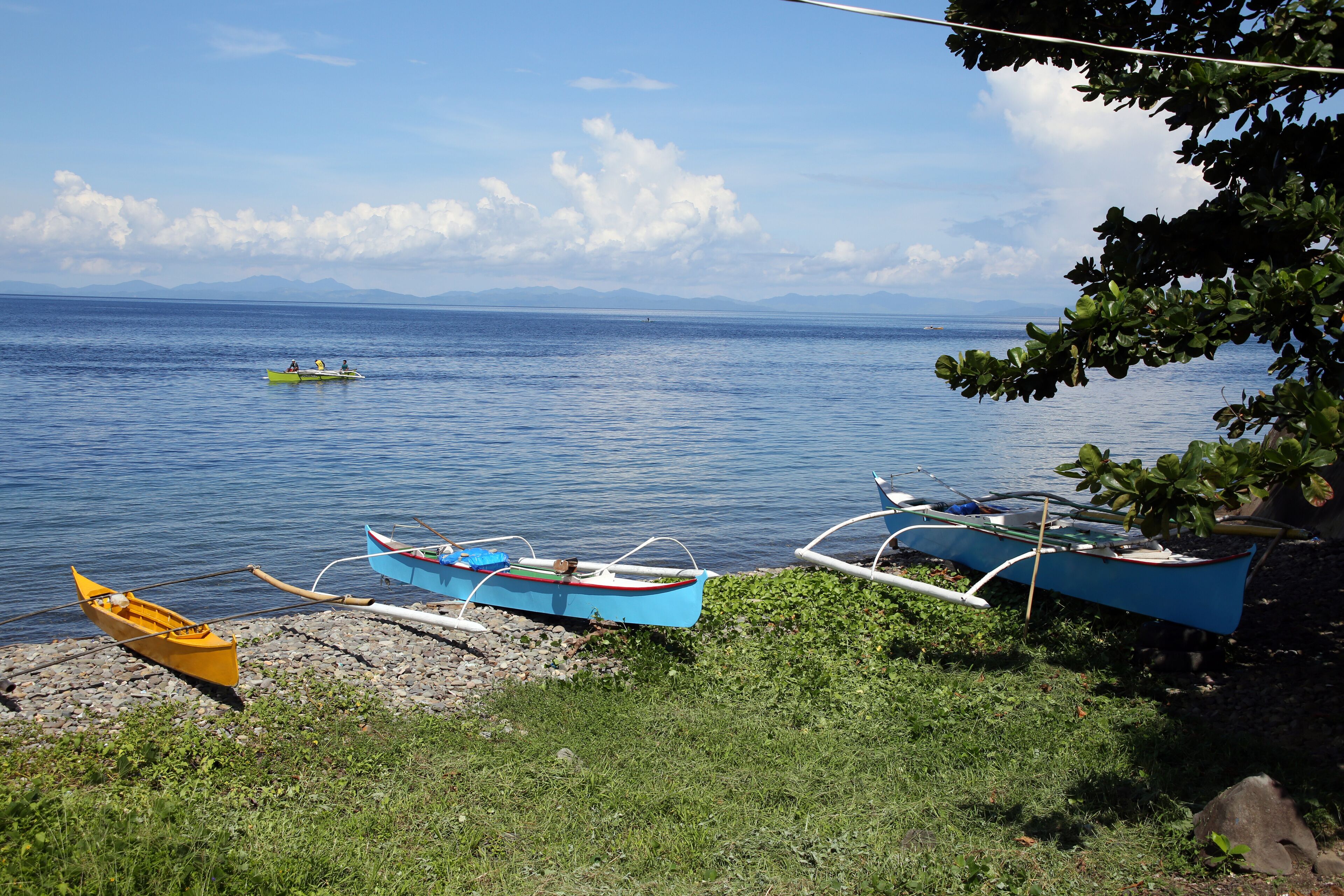 A calm lake with several boats, including a yellow one and a blue one, docked on a grassy shore.