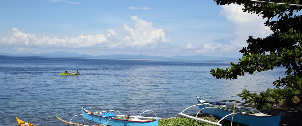 A calm lake with several boats, including a yellow one and a blue one, docked on a grassy shore.