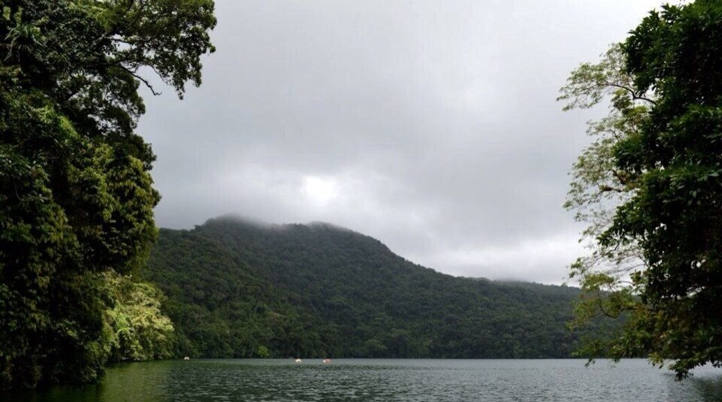 Colorful kayaks docked at Lake Bulusan