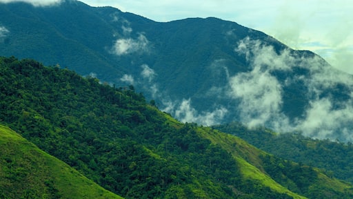 The Greenish mountain range of Gabaldon Mountains, and at the Back grounds the view of Mingan Mountain of Aurora Province... #Natures #Nature #GreatOutdoors