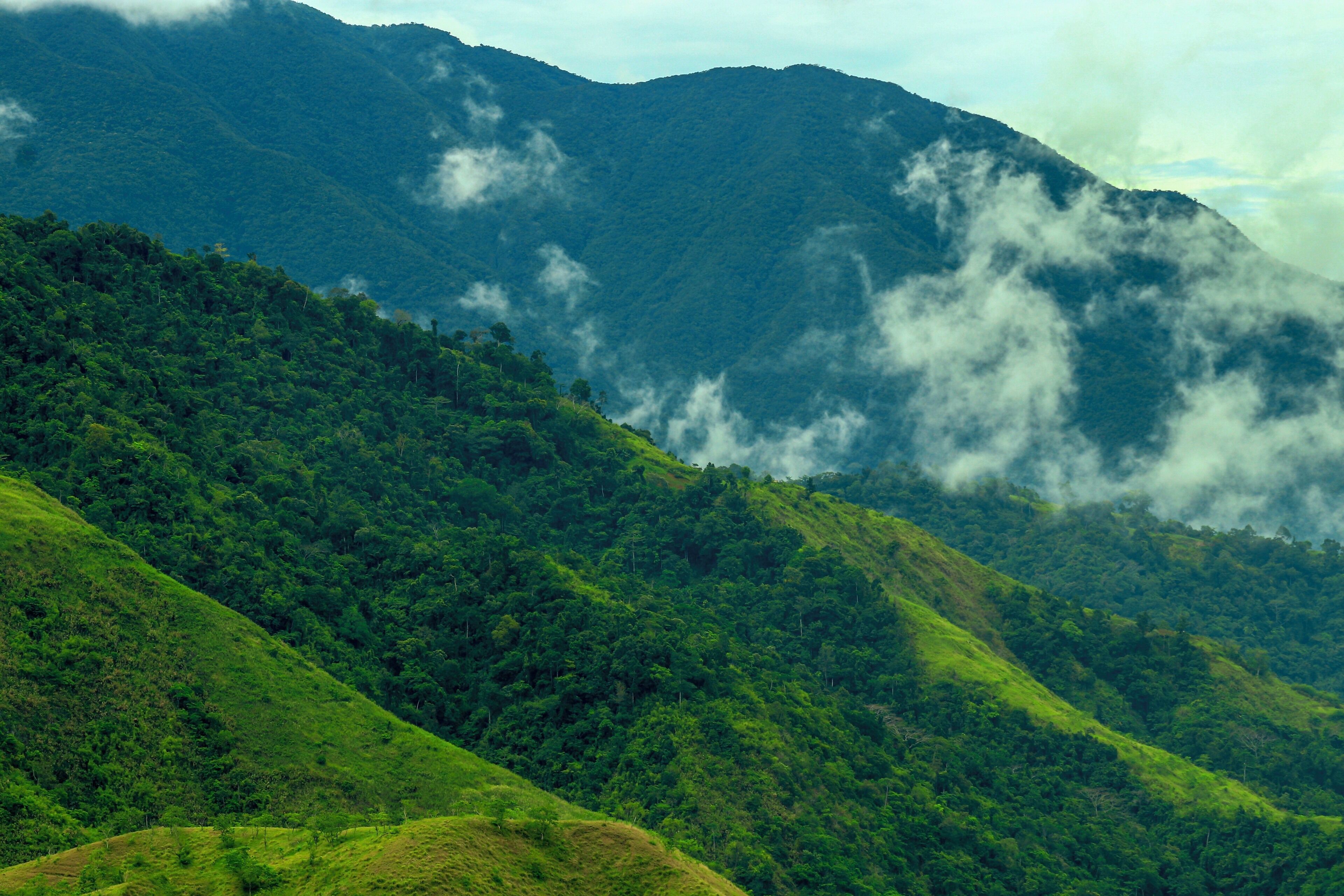 A lush green mountain landscape with dense vegetation and clouds.