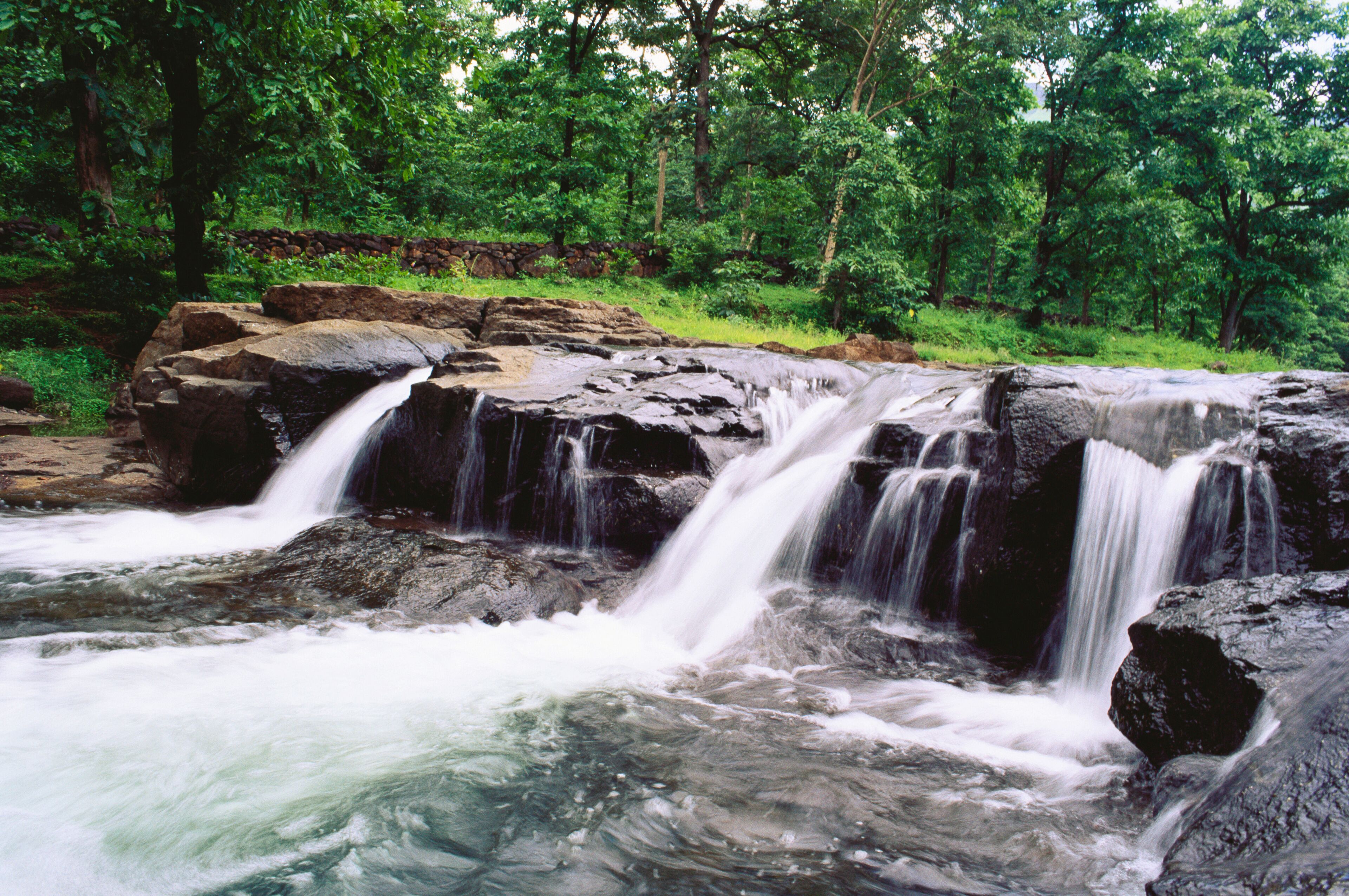 indian forest river waterfall India 