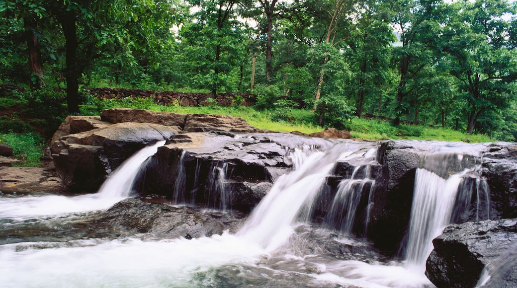 indian forest river waterfall India