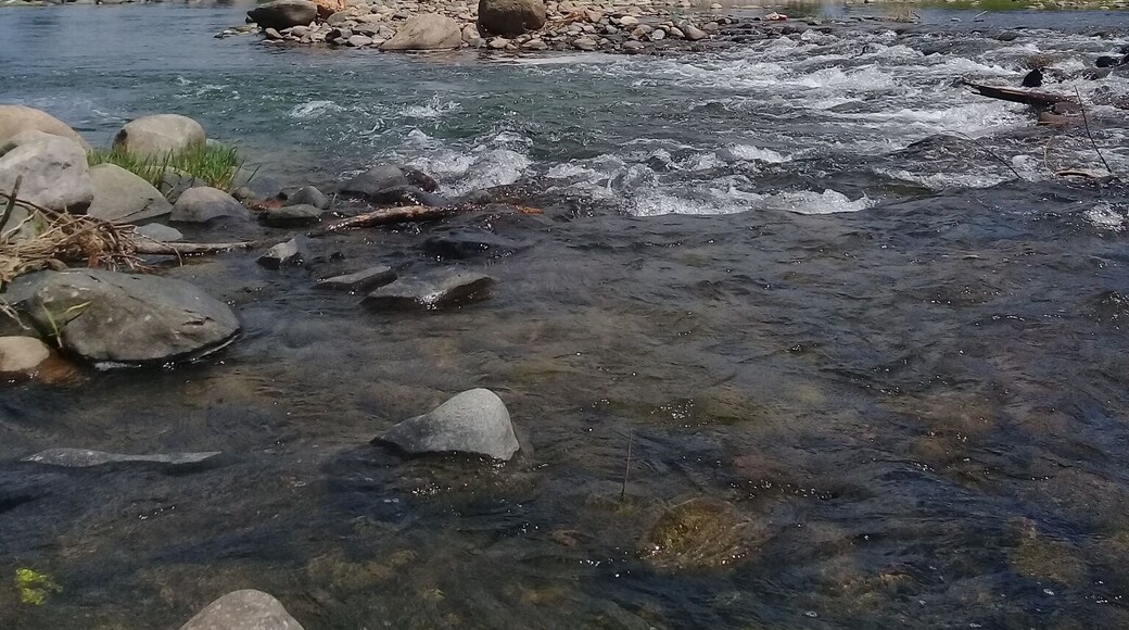 Senator Ninoy Aquino, officially the Municipality of Senator Ninoy Aquino, is a 3rd class municipality in the province of Sultan Kudarat, Philippines.