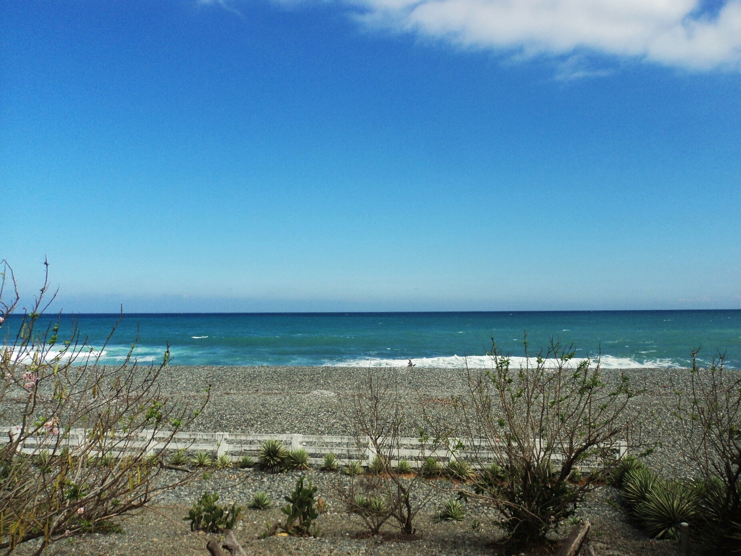 A rocky beach with sparse vegetation and a clear blue sky.