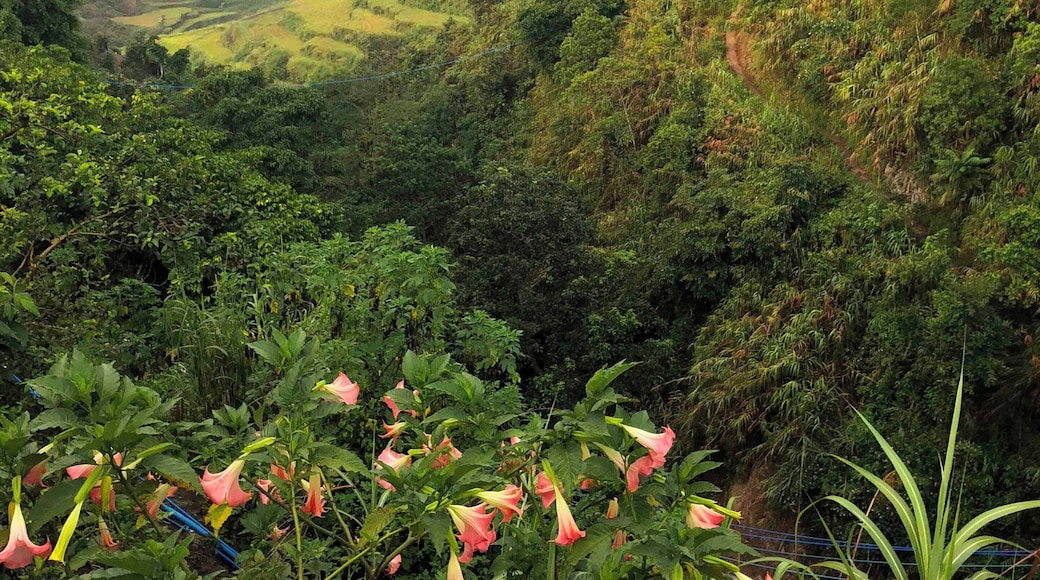 Hiking around the beautiful Busculan, home of legendary artist Apo Whang Od. Mountainous and incredibly cultural, no aspect of this trip was less than amazing.