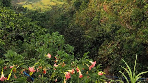 Hiking around the beautiful Busculan, home of legendary artist Apo Whang Od. Mountainous and incredibly cultural, no aspect of this trip was less than amazing.