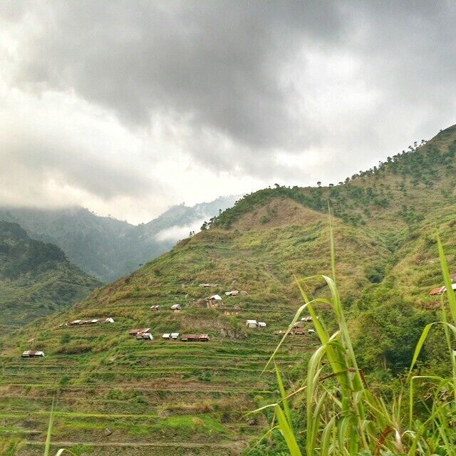 On the way to Buscalan to see the great Apo Whang-Od
#nature #moutains #hiking #Philippines