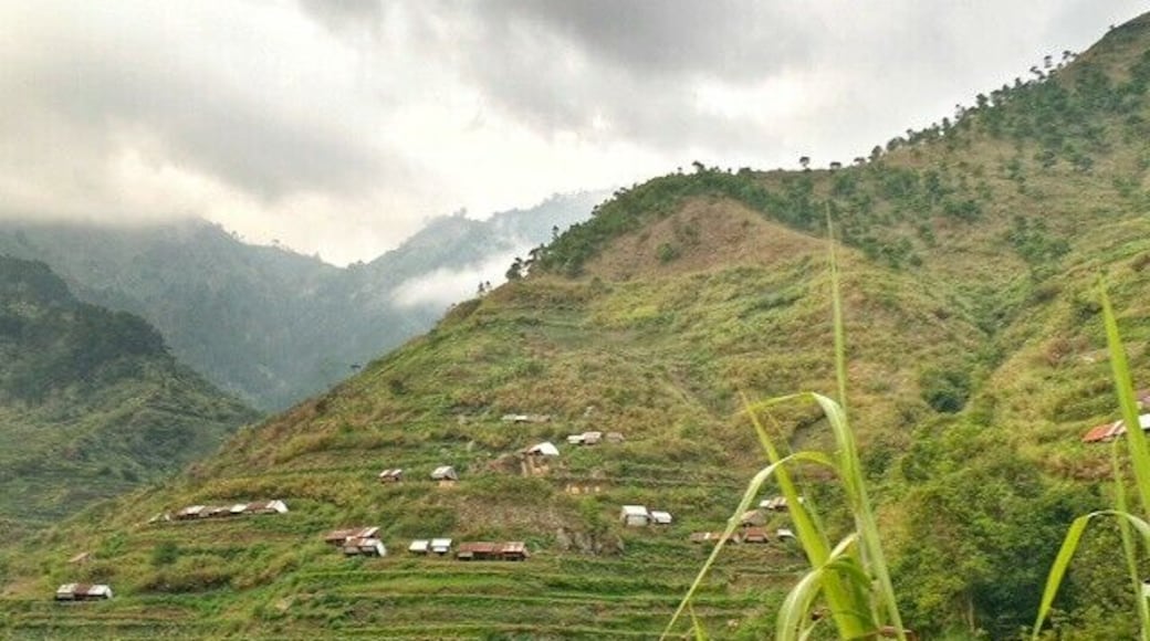 On the way to Buscalan to see the great Apo Whang-Od
#nature #moutains #hiking #Philippines