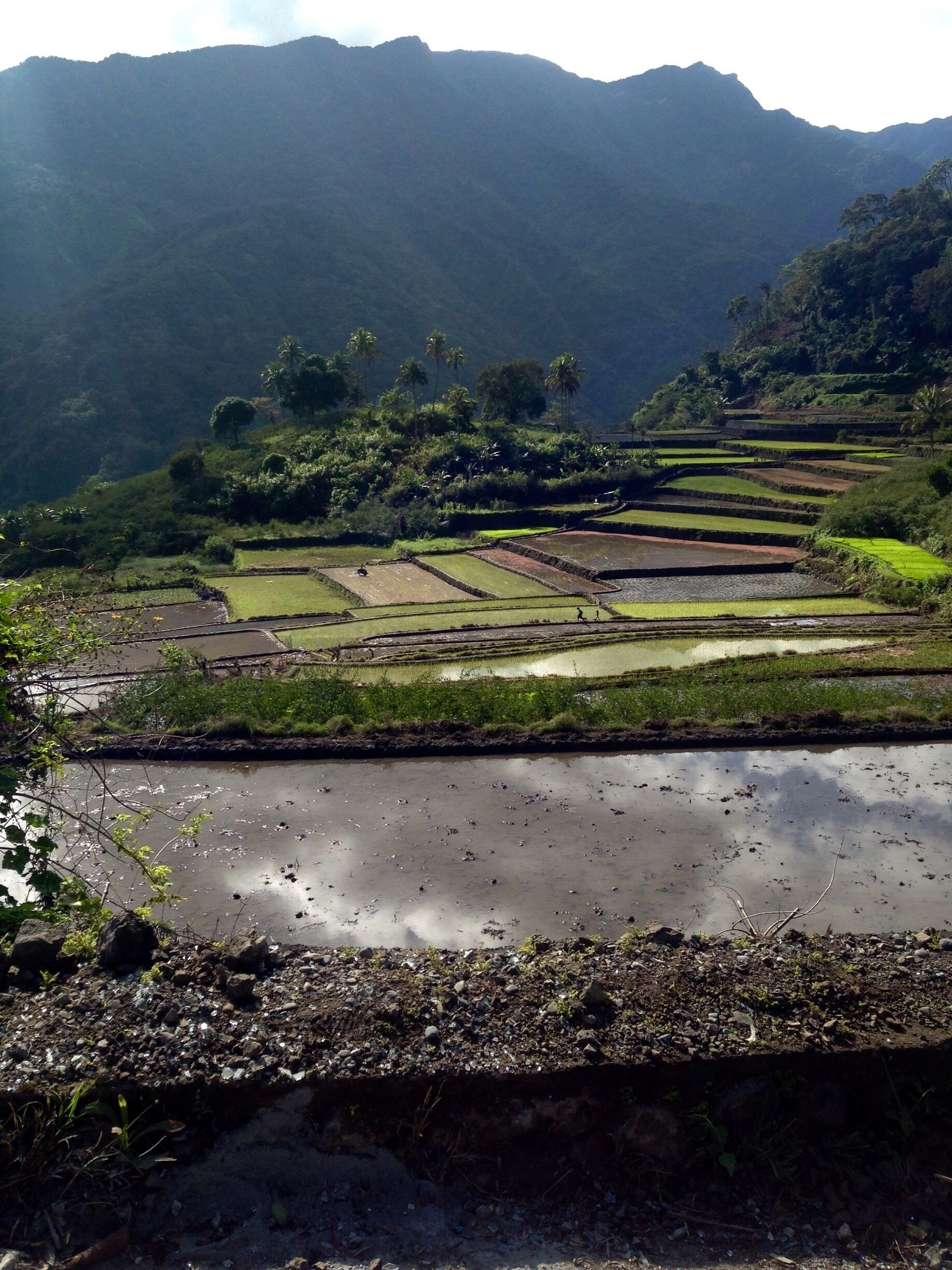 On the way to the tribes of Kalinga last week, these were some of the breathtaking scenes I had l while driving on narrow one lane dirt roads along the high mountains edge. 

it was absolutely breathtaking. 

#roadtrip