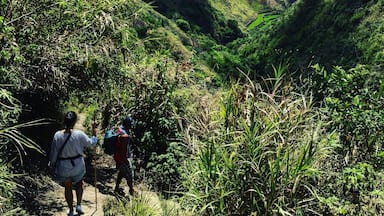 A mountainous landscape with terraced fields and hikers on a trail.