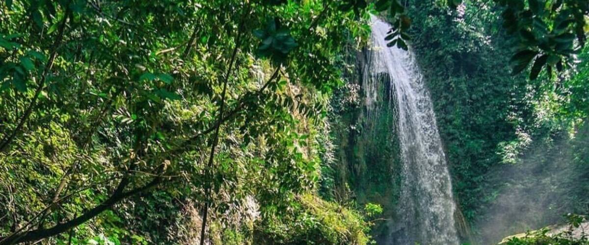 A waterfall in a forested area with clear turquoise water.