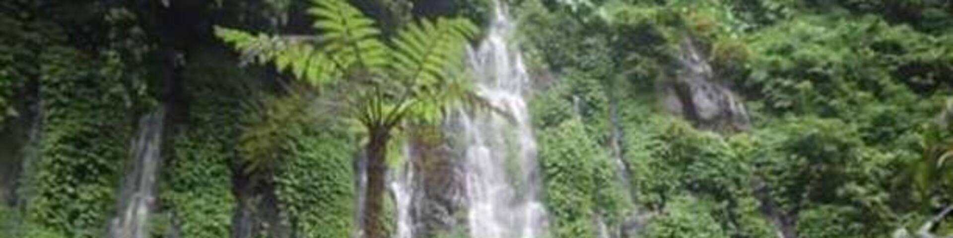 A waterfall surrounded by lush green foliage.