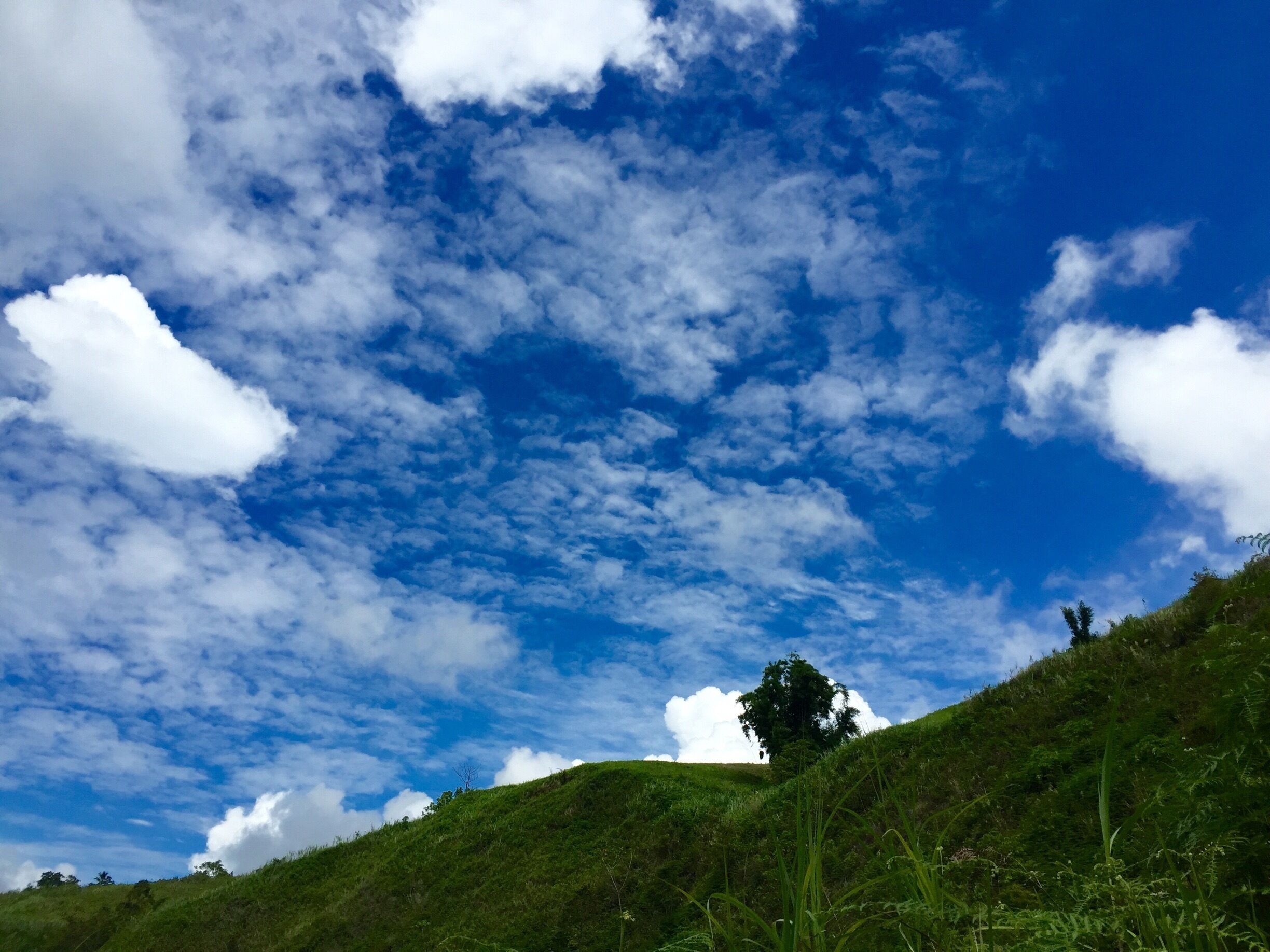 on the top of asik asik falls, taken on our way to , it takes 20 minutes descending walk going to the falls. #blue travel photo contest