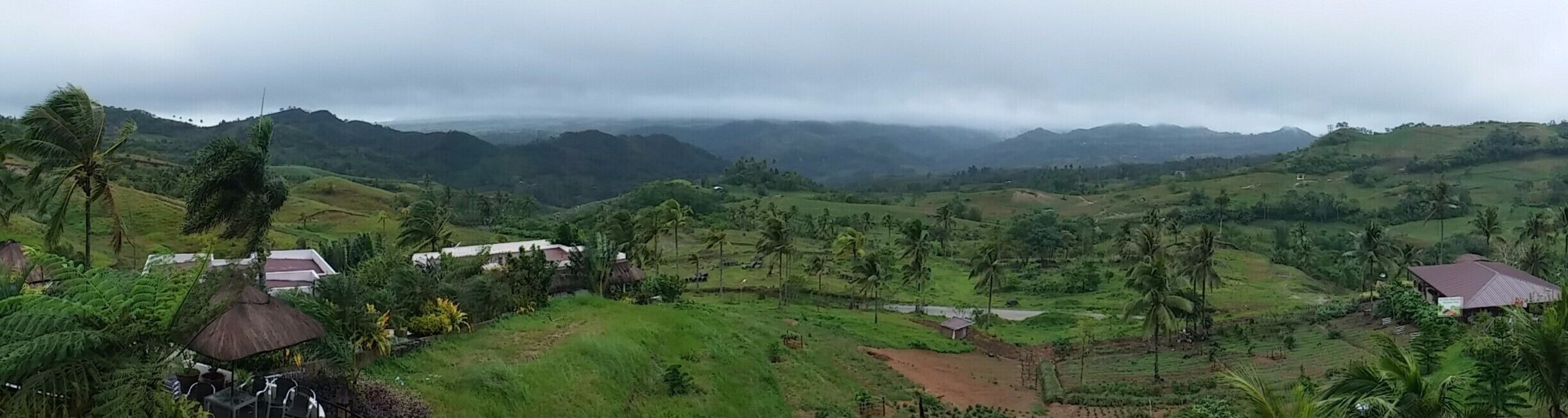 A lush green valley with scattered houses and palm trees.