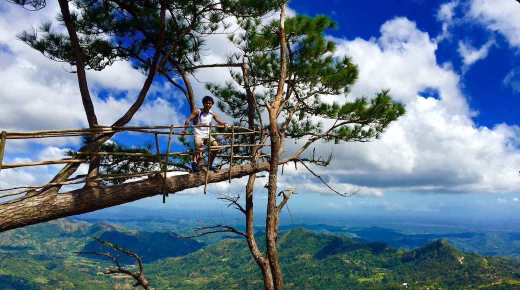 Bucari is found in the mountain area of Leon town, province of Iloilo in Panay Island, Philippines.
