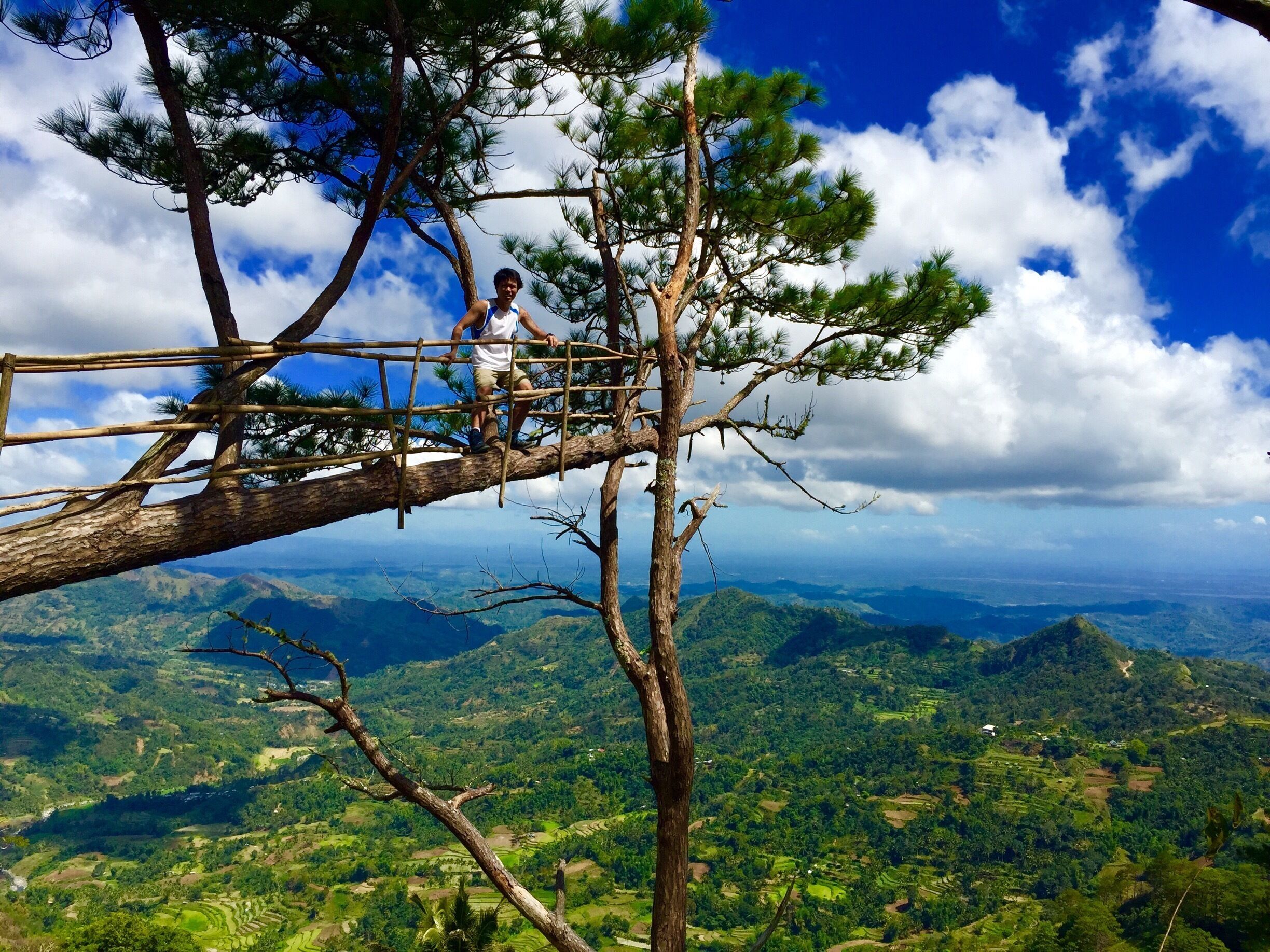 A person on a bamboo bridge over a forested mountain range.