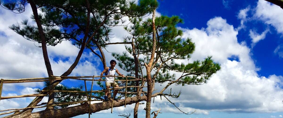 A person on a bamboo bridge over a forested mountain range.