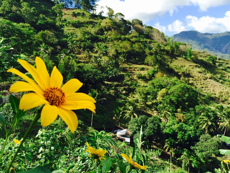 Bucari, Leon, Iloilo, Philippines.