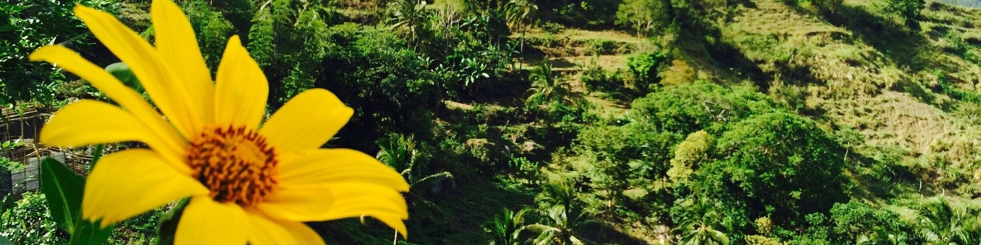 Bucari, Leon, Iloilo, Philippines.