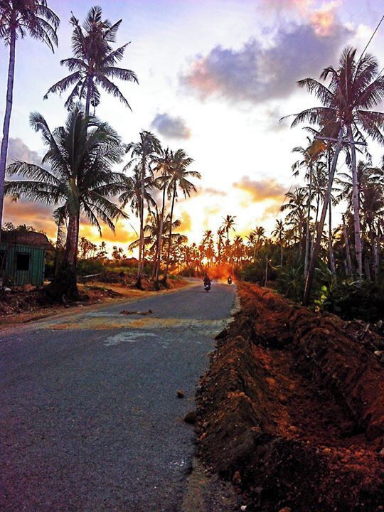 A road lined with palm trees and a sunset in the background.
