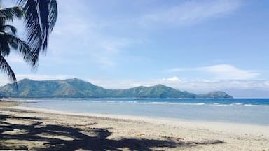 Uma praia com palmeira, areal e montanhas ao fundo.