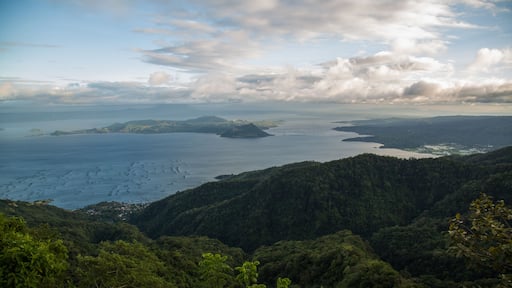 將軍馬里亞諾阿爾瓦雷斯