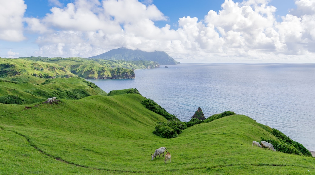 A coastal landscape with rolling green hills, a body of water, and a distant mountain.