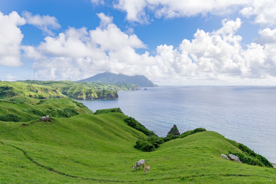 A coastal landscape with rolling green hills, a body of water, and a distant mountain.