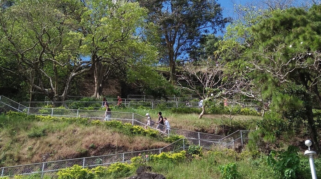 For a 360 degrees view one has to climb up the Cross. My knees were sore so I didn't do it. The alternative lift was not working at the time we visited.
