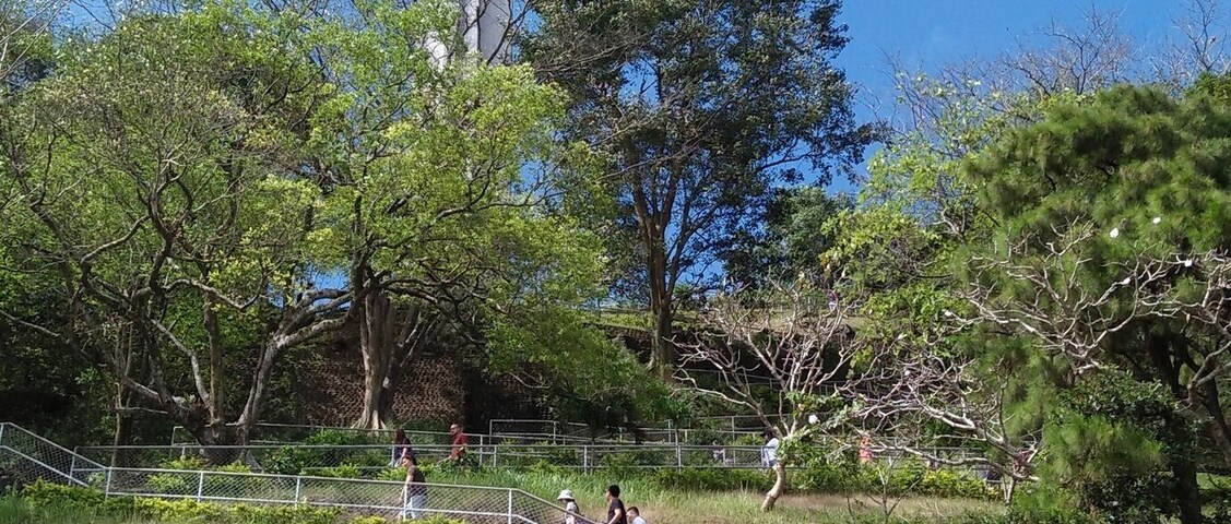 For a 360 degrees view one has to climb up the Cross. My knees were sore so I didn't do it. The alternative lift was not working at the time we visited.