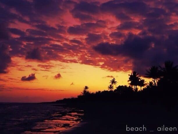 A sunset over a beach with palm trees silhouetted against the sky.