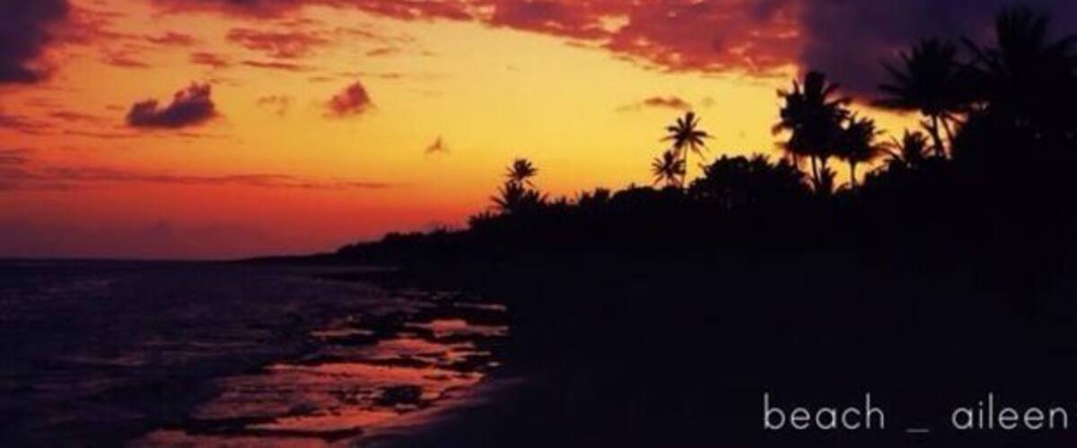 A sunset over a beach with palm trees silhouetted against the sky.