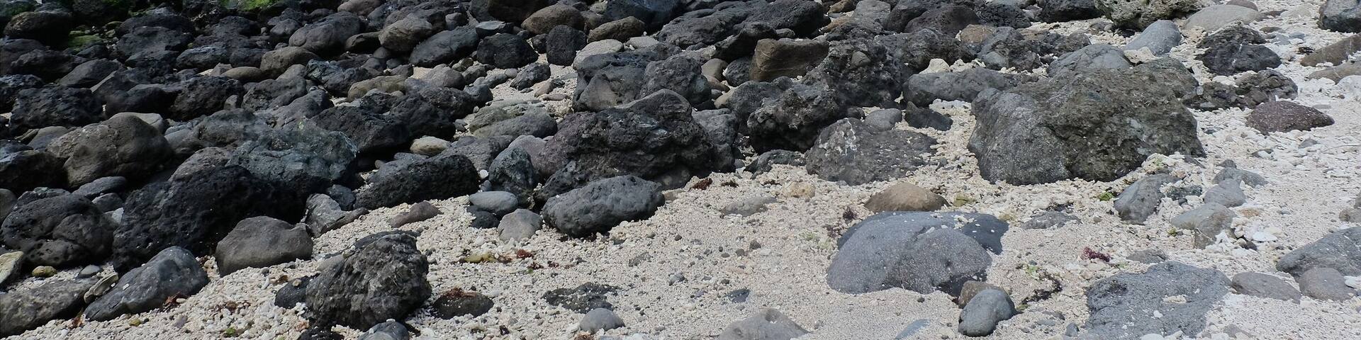 After a long boat ride, this.