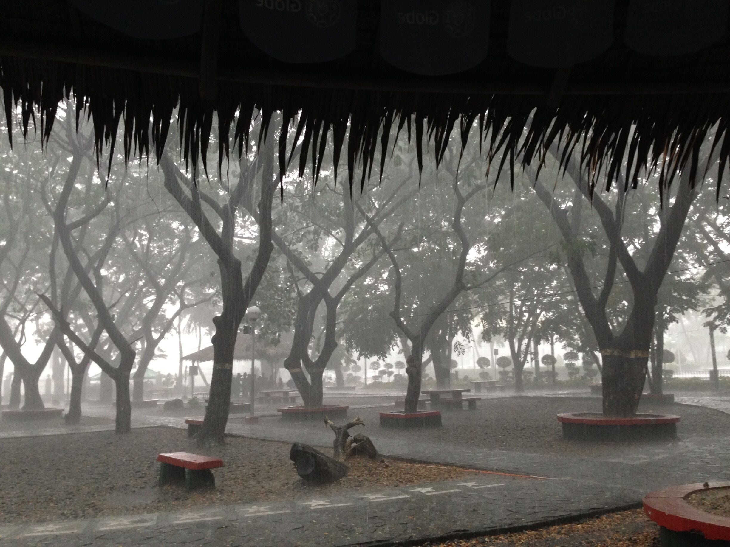 The mini forest located at the Bulacan Provincial Capitol grounds. A clean and green place is the city  of Malolos. A favorite hangout place for students and group of friends. #LoveMyTown