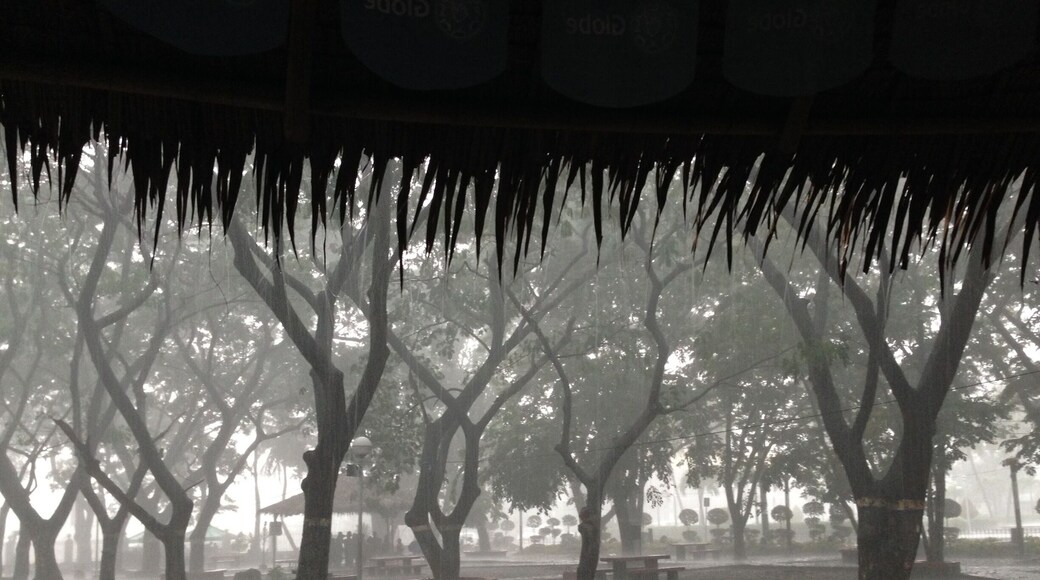 The mini forest located at the Bulacan Provincial Capitol grounds. A clean and green place is the city of Malolos. A favorite hangout place for students and group of friends. #LoveMyTown