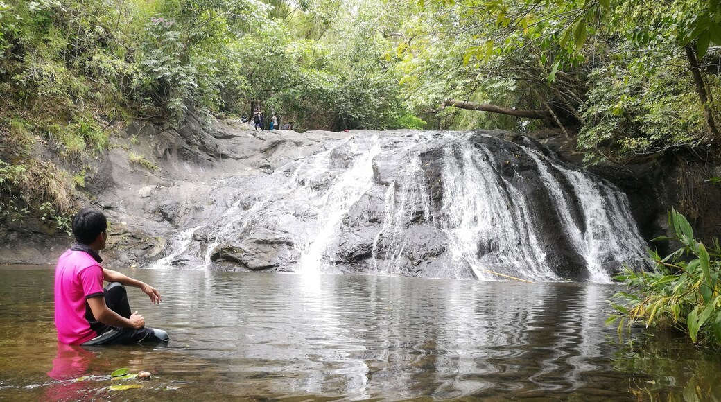 If you're up for an adventure and love trekking, Tugisan Falls is worth a visit. This is like an untouched paradise located at Kibuwa, Impasugong, Bukidnon. You'll be mesmerized by this 3 tiered falls, each tier is unique from each other. Also the scenic view of the ridges going to the spot are strikingly pleasing and worth every capture.
#nature #naturetrekking #naturevisit #adventure #waterfalls #scenicview #picturesque