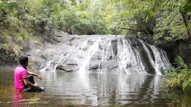 If you're up for an adventure and love trekking, Tugisan Falls is worth a visit. This is like an untouched paradise located at Kibuwa, Impasugong, Bukidnon. You'll be mesmerized by this 3 tiered falls, each tier is unique from each other. Also the scenic view of the ridges going to the spot are strikingly pleasing and worth every capture.
#nature #naturetrekking #naturevisit #adventure #waterfalls #scenicview #picturesque